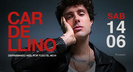 Cardellino